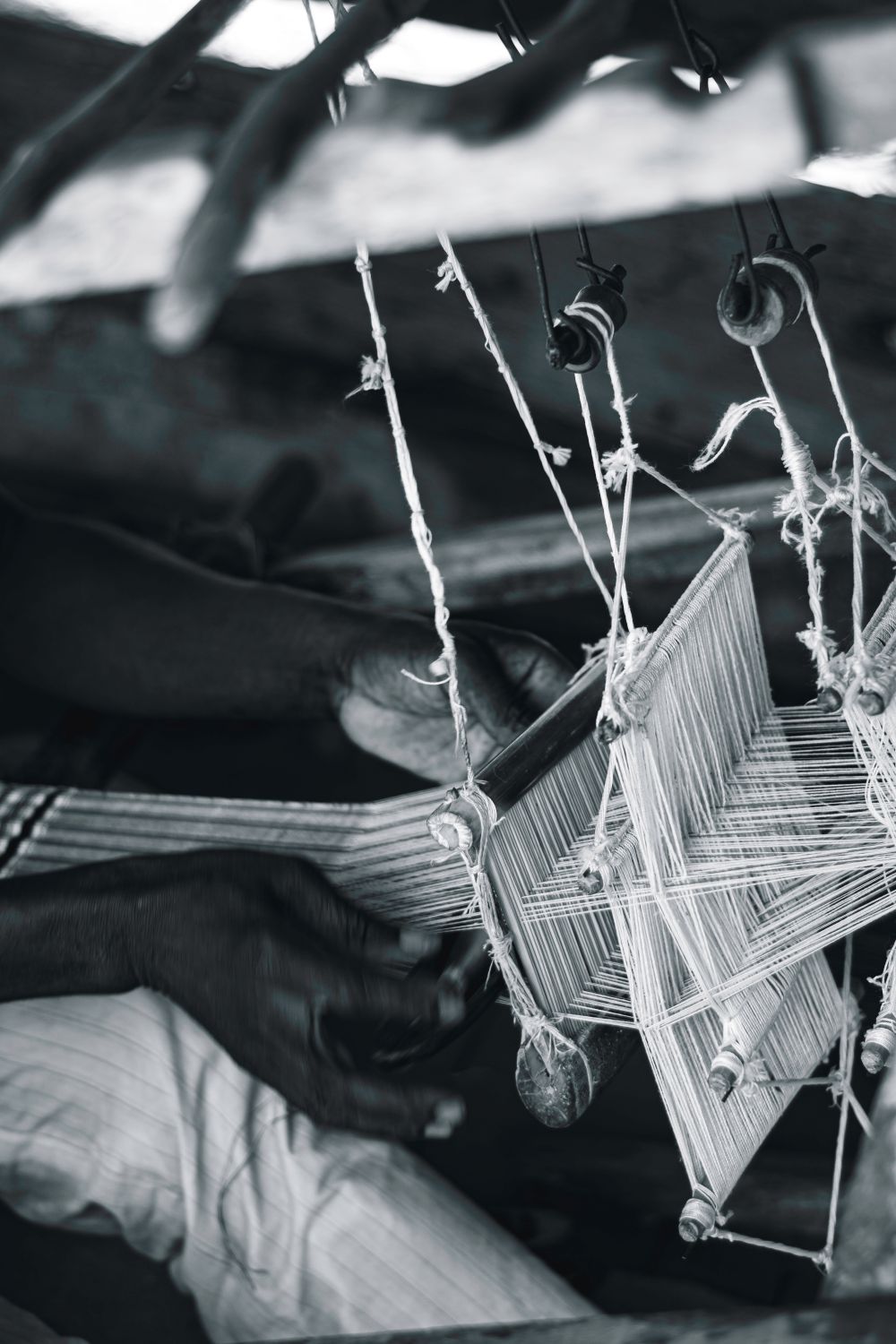 A black-and-white photograph of a strip loom with warp threads drawn through the heddles